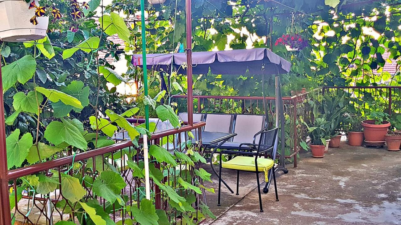 Apartment Pepica تروغير المظهر الخارجي الصورة